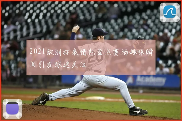 2021欧洲杯表情包盘点赛场趣味瞬间引发球迷关注