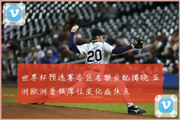 世界杯预选赛各区名额分配揭晓 亚洲欧洲晋级席位变化成焦点